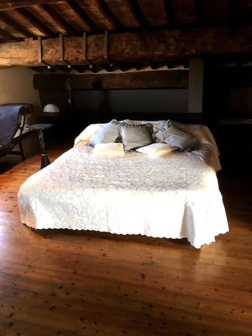Romantic Studio In The Historical Heart Of Padova Exterior photo